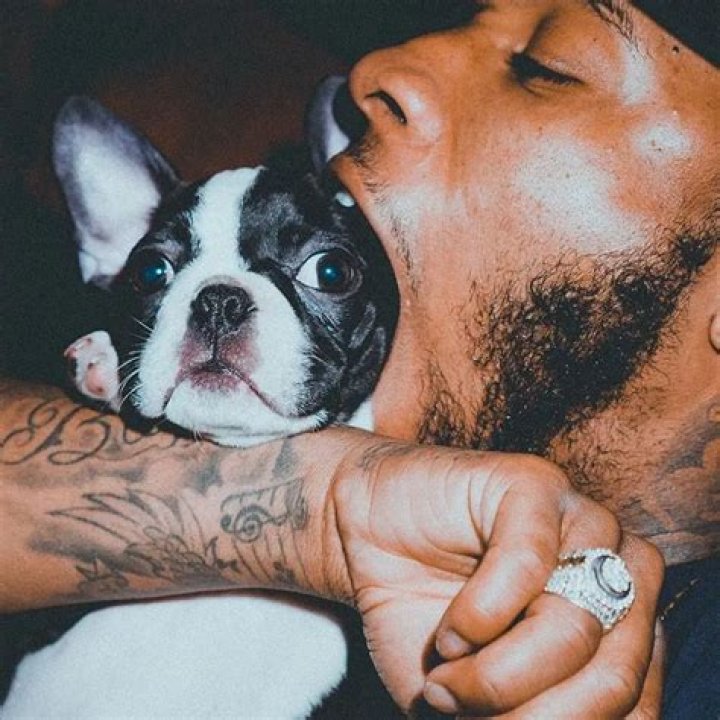 Tory Lanez Pets - Celebrity Pets