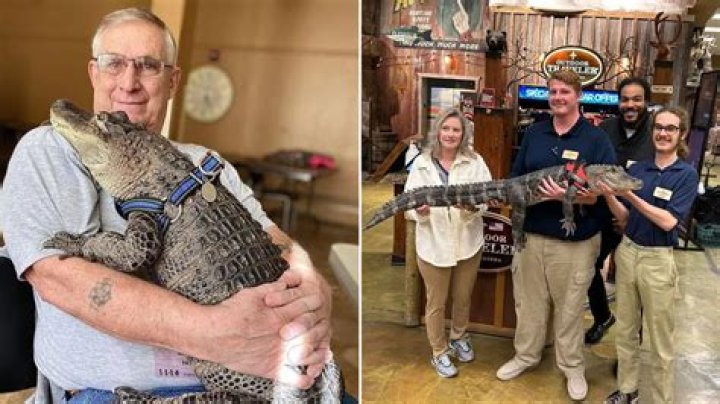Wally the Emotional Support Gator Was Kidnapped and Is Now Missing!