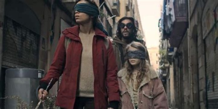 What are the entities in Bird Box?