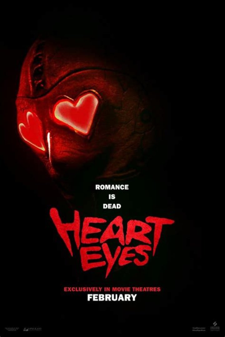 What is Heart Shot on Netflix about? (movie plot)