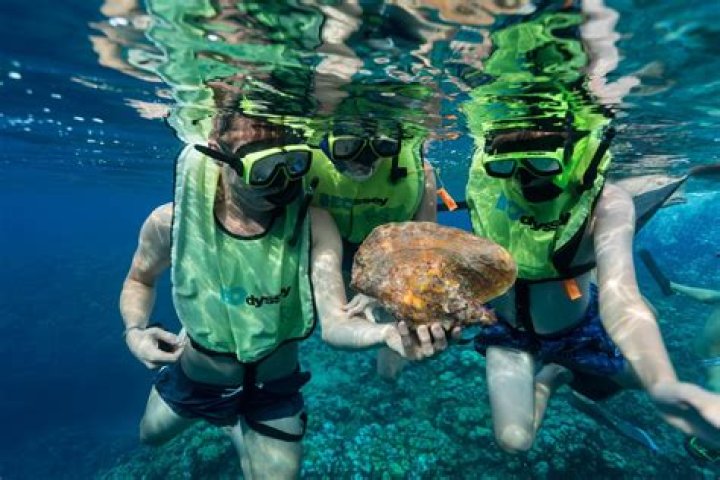Where to Go Snorkeling in Grand Cayman