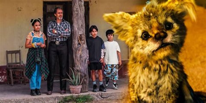 Who stars in the Mexican Netflix movie?