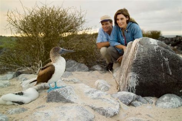 Why Are The Galapagos Islands Unique?