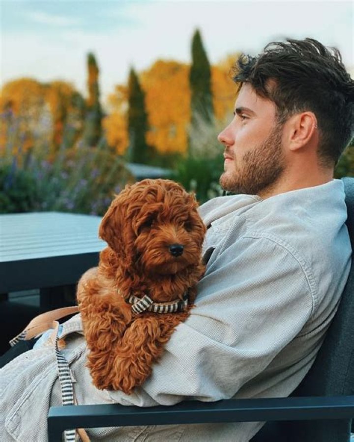 Zoe Sugg (Zoella) Pets - Celebrity Pets