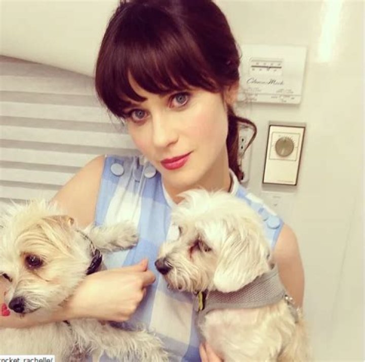 Zooey Deschanel Pets - Celebrity Pets